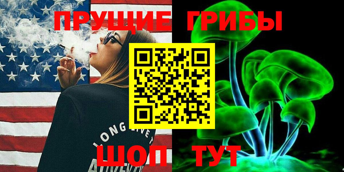 Альметьевск  Псилоцибиновые грибы ЛСД  Вход с VPN  Псилоцибиновые грибы Psilocybine cubensis 